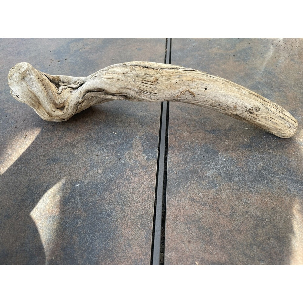 Natural Driftwood for Plants Terrarium Taxidermy Art Projects - Picture 2 of 5